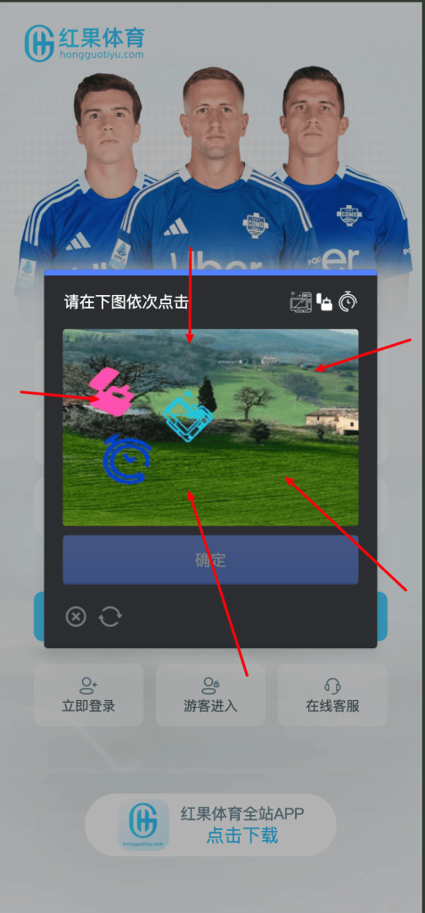 点击图标验证